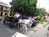 DSC04560.jpg