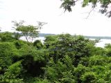 DSC04790~0.jpg