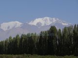 DSC04830.jpg