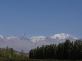 DSC04841~0.jpg