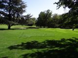 DSC04842.jpg