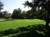 DSC04843.jpg