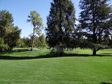 DSC04844.jpg