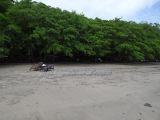 DSC04883.jpg