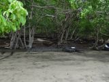 DSC04890~0.jpg
