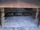 DSC05006.jpg