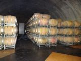 DSC05024.jpg
