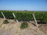DSC05051.jpg