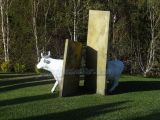 DSC05107.jpg