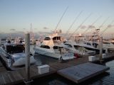DSC05119.jpg