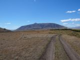 DSC05299.jpg