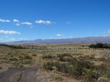 DSC05300.jpg