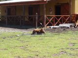 DSC05301~0.jpg