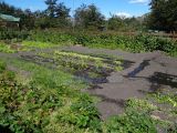 DSC05331.jpg