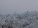 DSC05440.jpg