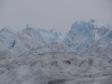 DSC05441.jpg