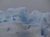 DSC05442.jpg