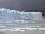 DSC05444.jpg