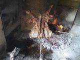 DSC05621.jpg