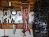 DSC05625.jpg