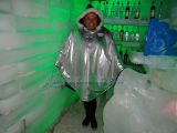 DSC05665.jpg