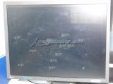 DSC05977.jpg