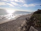 DSC07111~0.jpg