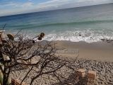 DSC07112.jpg