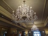 DSC07188.jpg
