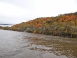 DSC08009.jpg