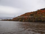 DSC08014.jpg