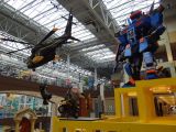 DSC08068-M.jpg