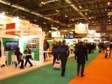 DSC08198.jpg