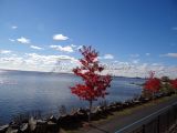 DSC08335.jpg