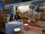 DSC08591~0.jpg