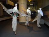 DSC08667~0.jpg