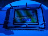 DSC08719.jpg