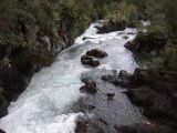 DSC08780.jpg