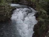 DSC08782.jpg