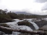 DSC08796.jpg
