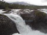DSC08801.jpg