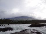 DSC08833.jpg