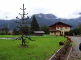 DSC08891.jpg