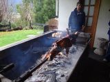 DSC08895.jpg
