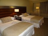 DSC08923.jpg