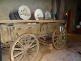 DSC09239.jpg