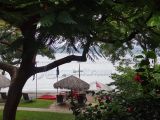 DSC09791.jpg