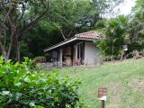 DSC09793.jpg