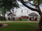 DSC09795.jpg