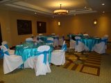 DSC09950.jpg
